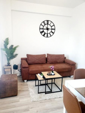NINA 3 APARTMAN Stevana Ivanovica 3